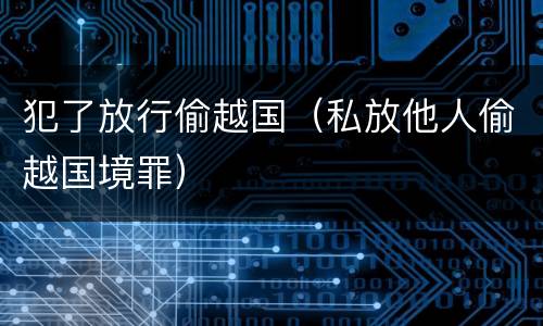 犯了放行偷越国（私放他人偷越国境罪）