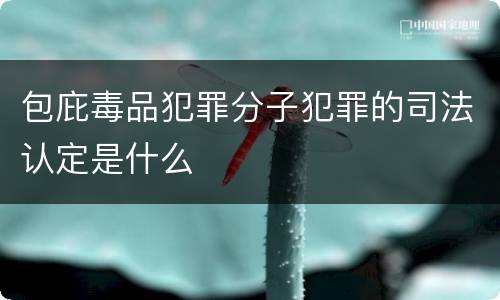 包庇毒品犯罪分子犯罪的司法认定是什么