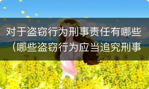 对于盗窃行为刑事责任有哪些（哪些盗窃行为应当追究刑事责任）