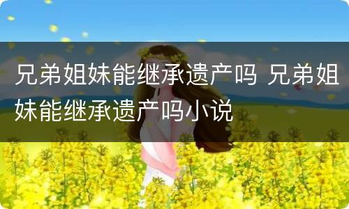 兄弟姐妹能继承遗产吗 兄弟姐妹能继承遗产吗小说