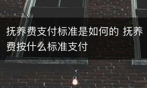 抚养费支付标准是如何的 抚养费按什么标准支付
