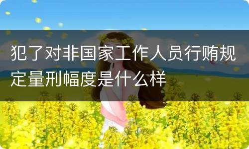 犯了对非国家工作人员行贿规定量刑幅度是什么样