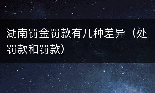 湖南罚金罚款有几种差异（处罚款和罚款）