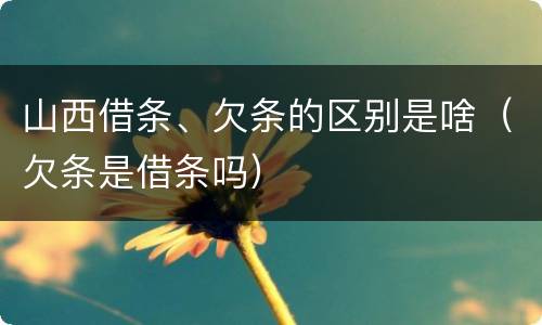 山西借条、欠条的区别是啥（欠条是借条吗）