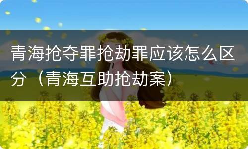 青海抢夺罪抢劫罪应该怎么区分（青海互助抢劫案）