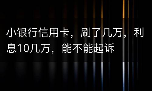 小银行信用卡，刷了几万，利息10几万，能不能起诉