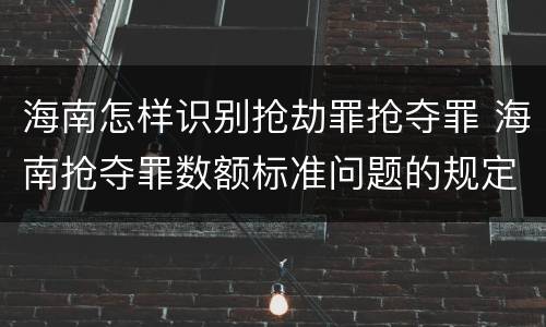 海南怎样识别抢劫罪抢夺罪 海南抢夺罪数额标准问题的规定