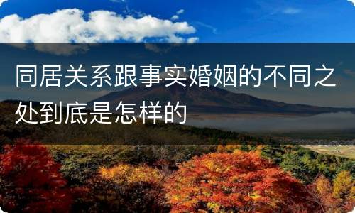同居关系跟事实婚姻的不同之处到底是怎样的