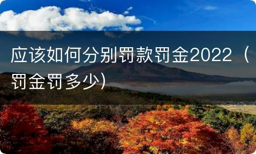 应该如何分别罚款罚金2022（罚金罚多少）