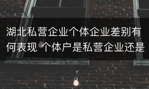 湖北私营企业个体企业差别有何表现 个体户是私营企业还是民营企业