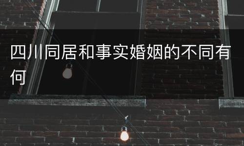 四川同居和事实婚姻的不同有何