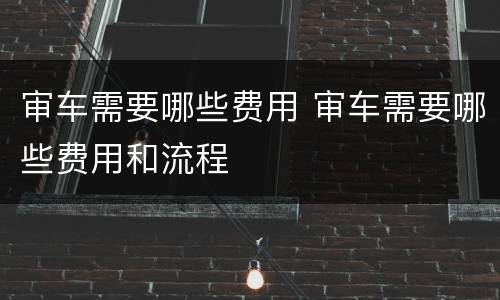 审车需要哪些费用 审车需要哪些费用和流程