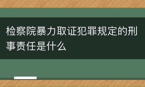 检察院暴力取证犯罪规定的刑事责任是什么