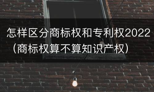 怎样区分商标权和专利权2022（商标权算不算知识产权）