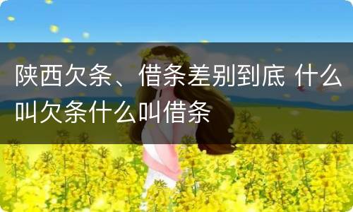 陕西欠条、借条差别到底 什么叫欠条什么叫借条