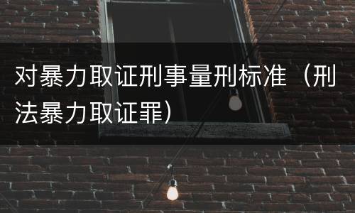 对暴力取证刑事量刑标准（刑法暴力取证罪）