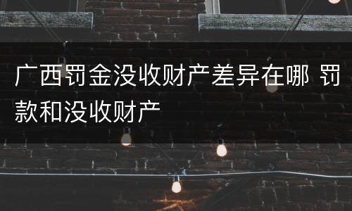 广西罚金没收财产差异在哪 罚款和没收财产