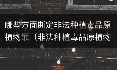 哪些方面断定非法种植毒品原植物罪（非法种植毒品原植物罪情节严重的三种情形是什么）