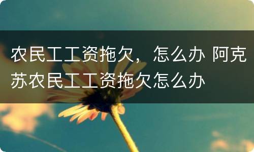 农民工工资拖欠，怎么办 阿克苏农民工工资拖欠怎么办