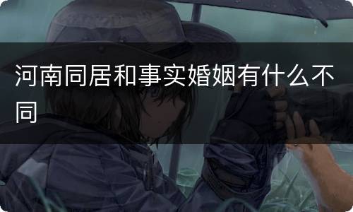 河南同居和事实婚姻有什么不同