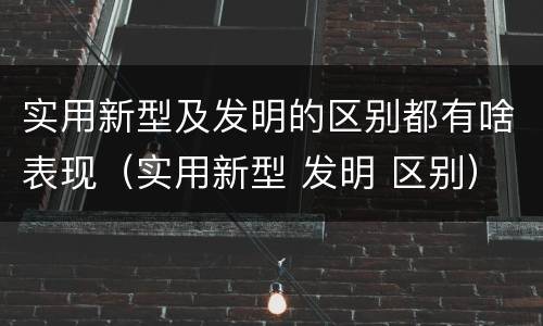 实用新型及发明的区别都有啥表现（实用新型 发明 区别）