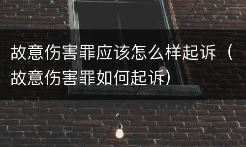 故意伤害罪应该怎么样起诉（故意伤害罪如何起诉）