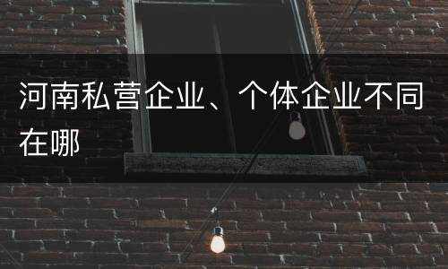 河南私营企业、个体企业不同在哪