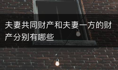 夫妻共同财产和夫妻一方的财产分别有哪些