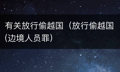 有关放行偷越国（放行偷越国(边境人员罪）