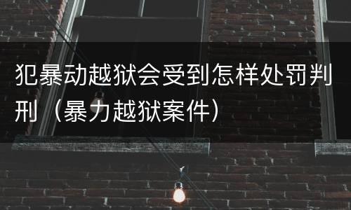 犯暴动越狱会受到怎样处罚判刑（暴力越狱案件）