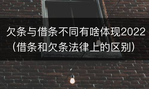 欠条与借条不同有啥体现2022（借条和欠条法律上的区别）