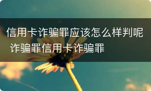 信用卡诈骗罪应该怎么样判呢 诈骗罪信用卡诈骗罪
