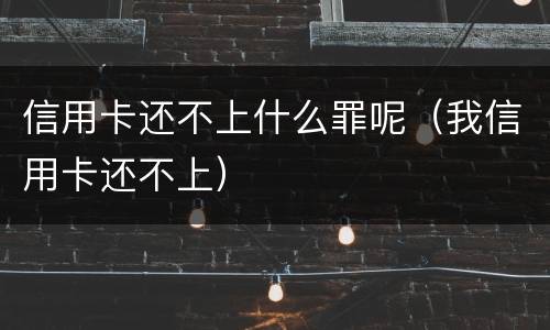 信用卡还不上什么罪呢（我信用卡还不上）