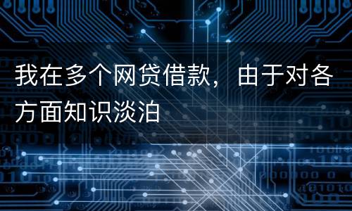 我在多个网贷借款，由于对各方面知识淡泊