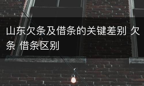 山东欠条及借条的关键差别 欠条 借条区别