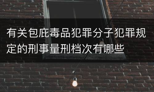 有关包庇毒品犯罪分子犯罪规定的刑事量刑档次有哪些