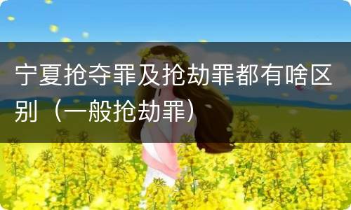 宁夏抢夺罪及抢劫罪都有啥区别（一般抢劫罪）