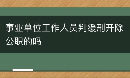 事业单位工作人员判缓刑开除公职的吗