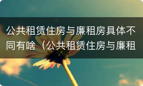 公共租赁住房与廉租房具体不同有啥（公共租赁住房与廉租房具体不同有啥区别）