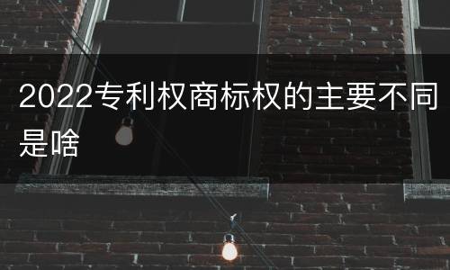 2022专利权商标权的主要不同是啥