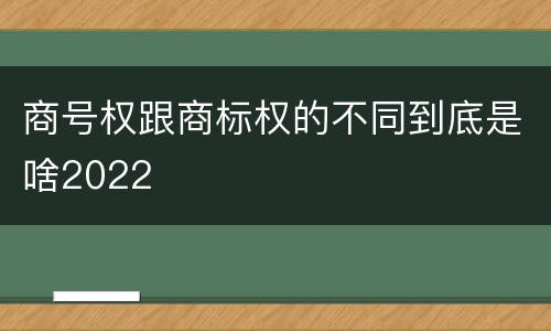 商号权跟商标权的不同到底是啥2022