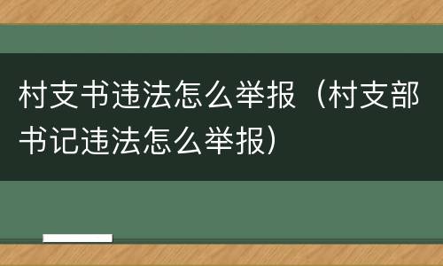 村支书违法怎么举报（村支部书记违法怎么举报）