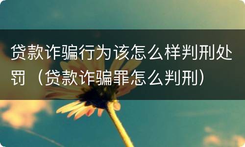 贷款诈骗行为该怎么样判刑处罚（贷款诈骗罪怎么判刑）