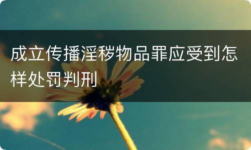 成立传播淫秽物品罪应受到怎样处罚判刑