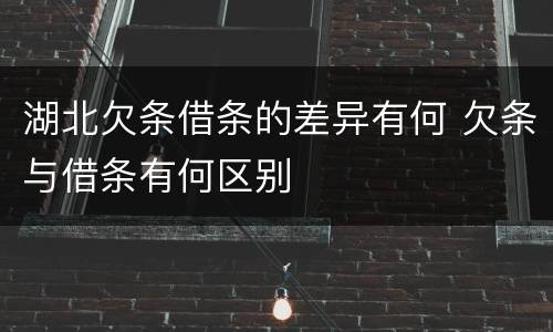 湖北欠条借条的差异有何 欠条与借条有何区别