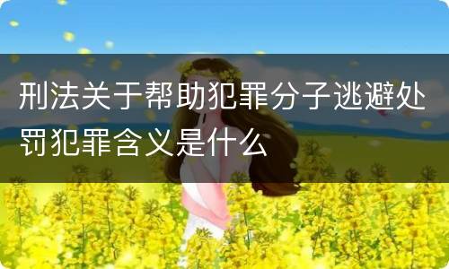 刑法关于帮助犯罪分子逃避处罚犯罪含义是什么
