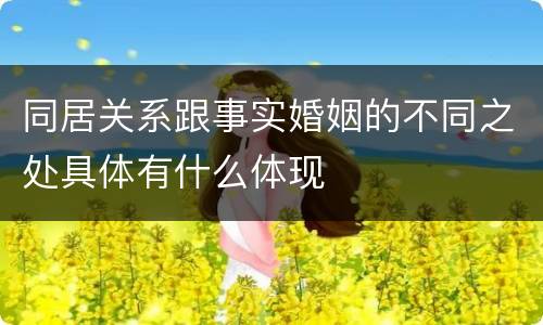 同居关系跟事实婚姻的不同之处具体有什么体现