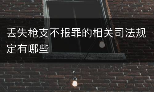 丢失枪支不报罪的相关司法规定有哪些