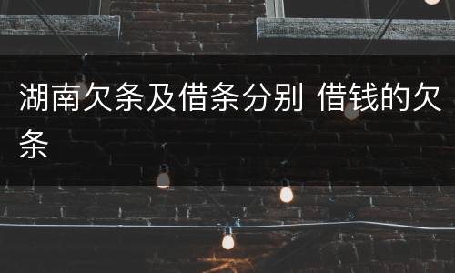 湖南欠条及借条分别 借钱的欠条