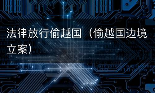 法律放行偷越国（偷越国边境立案）